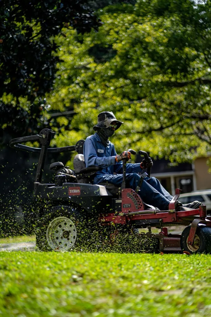 Mowing a green lawn at the correct height with grass clippings flying