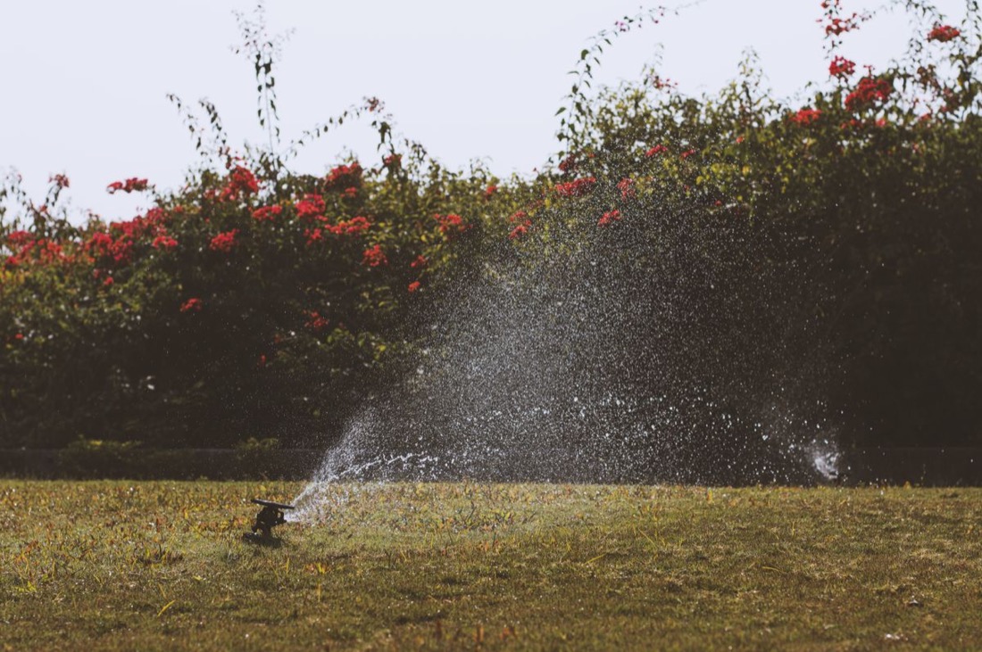Impact sprinkler watering a lawn