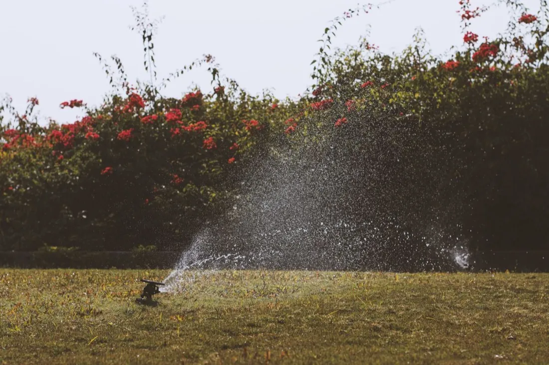 Impact sprinkler watering a lawn