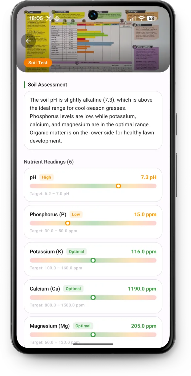 Soil assessment reading pH and nutrient levels from a soil test photo